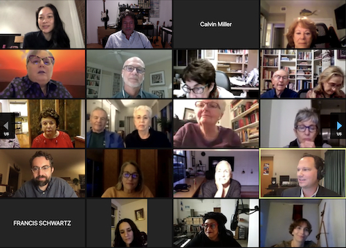 Zoom screen of some of the participants